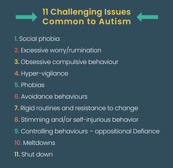 11 challenging issues common to autism